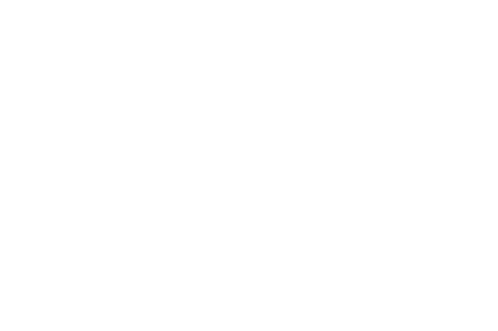 ibz-logo-negativ.png | ipso!