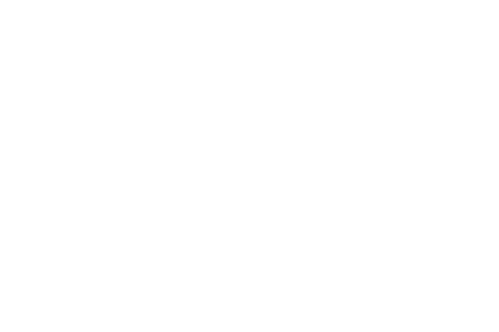 NSH Logo