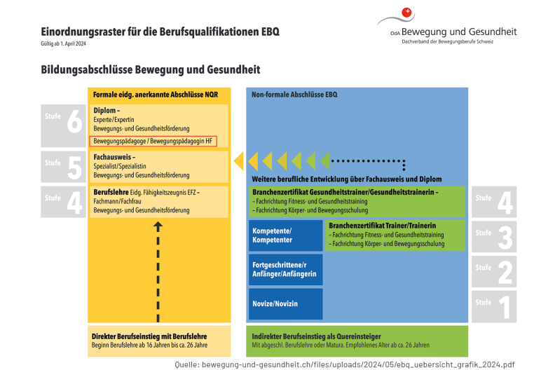 hws-ebq-uebersicht-grafik-2024-oda-bewegung-gesundheit-v02