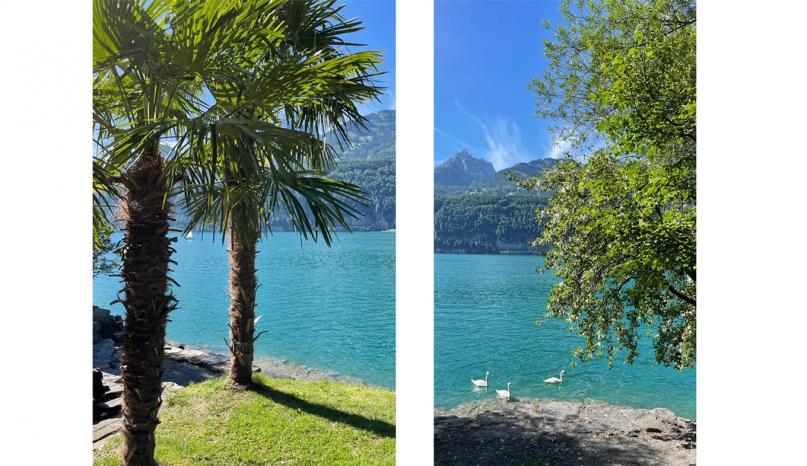 Walensee