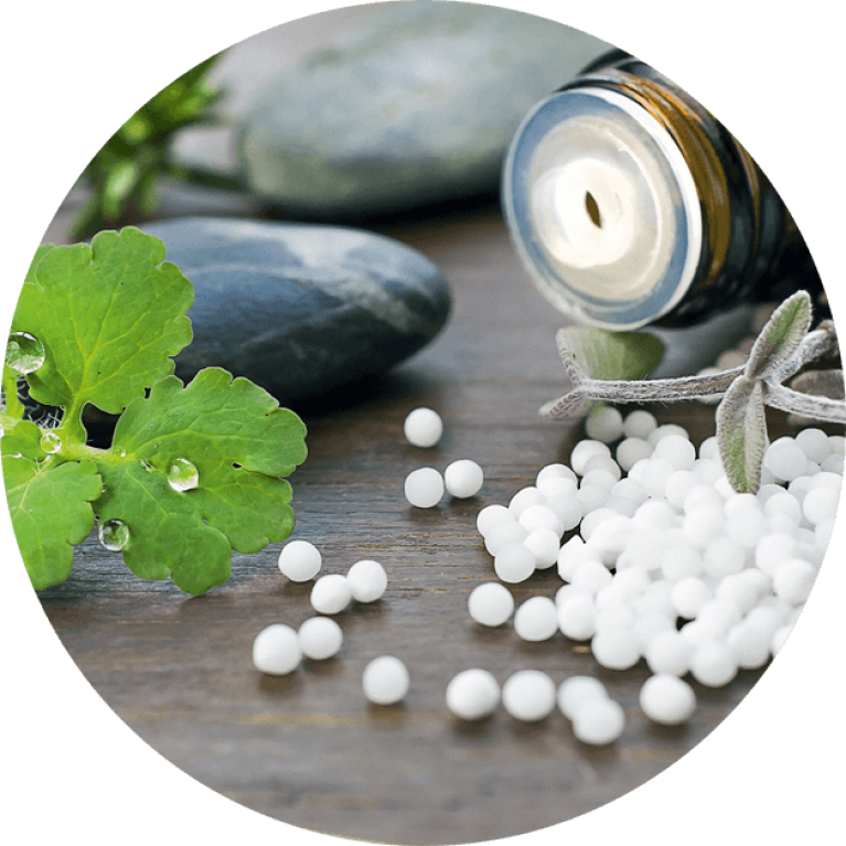 HWS Testimonial Akamdie f&uuml;r Naturheilkunde ANHK Naturheilpraktiker Ausbildung